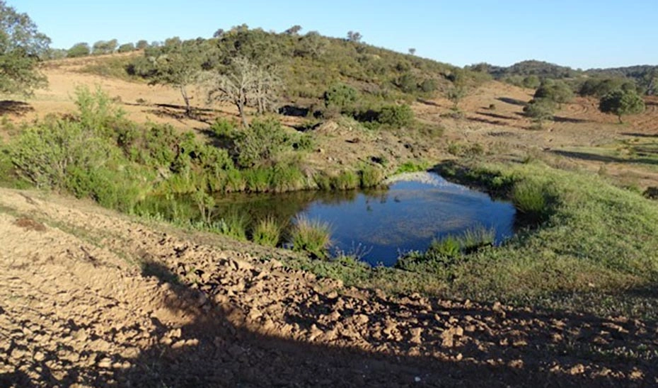 Imagen del artículo La Junta cifra en más de 12.500 las fuentes naturales y manantiales existentes en Andalucía