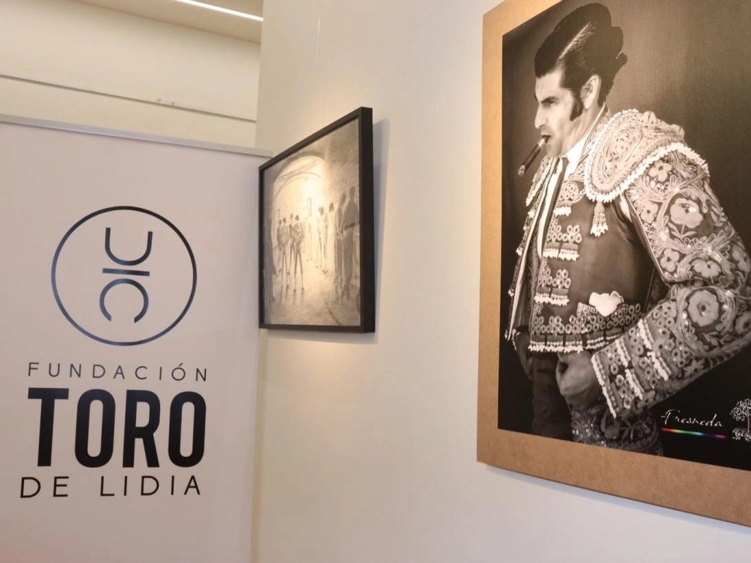Image 1 of article El Gobierno regional abre las puertas de la Casa Perona a la exposición 'Arte Taurino', de la Fundación del Toro de Lidia