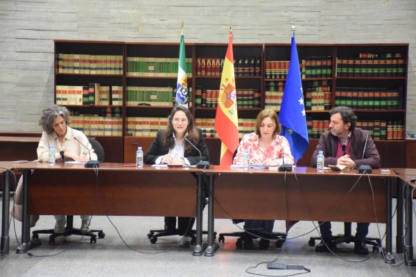 Imagen del artículo La Junta reúne por primera vez a las dos Comisiones Provinciales de Patrimonio para agilizar expedientes y unificar criterios de intervención