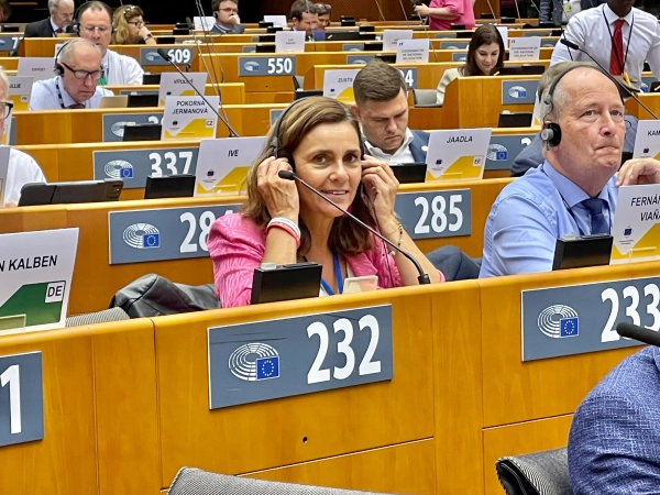 Imagen del artículo Fernández Viaña participa en Bruselas en el debate sobre la defensa de la democracia europea y alerta de la amenaza de la ultraderecha