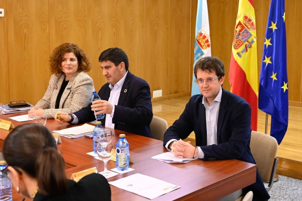 Image 0 of article A Xunta apela á colaboración entre administracións e á responsabilidade cidadá para  conseguir reducir a mortalidade nas estradas galegas