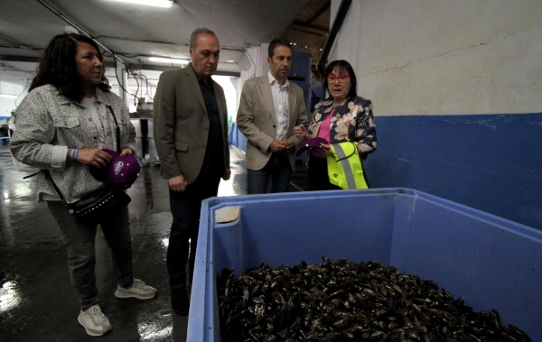 Image 1 of article Alfonso Villares pon en valor o papel dos depuradores de moluscos na distribución e venda do mellor marisco galego nos mercados