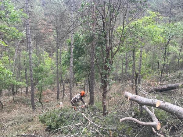 Imagen del artículo Bages i Berguedà concentren la majoria d'ajuts a la propietat privada perquè s'hi puguin fer treballs forestals de prevenció d'incendis
