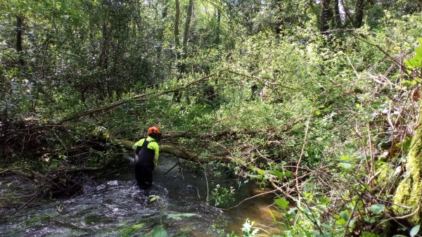 Imagen del artículo A Xunta realiza labores de conservación e mantemento no río Grande, nos concellos de Carballo e Coristanco