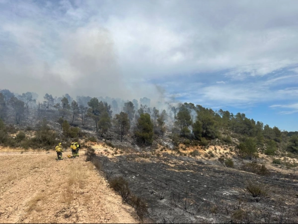 Imagen del artículo Incendi forestal a Batea (Terra Alta)