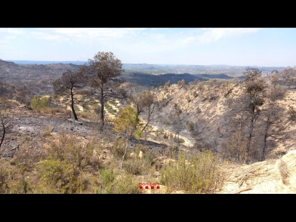 Imagen del artículo Estabilitzat l'incendi forestal de Batea (Terra Alta)