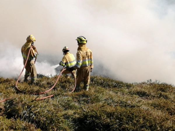 Imagen del artículo El Gobierno convoca ayudas por más de 1,2 millones de euros para prevenir incendios forestales en Cantabria
