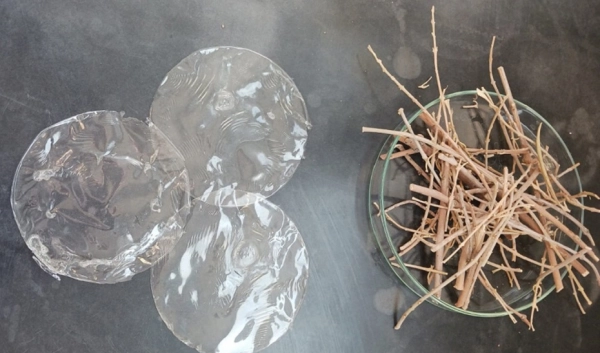 Imagen del artículo La Universidad de Jaén y Andaltec desarrollan un bioplástico transparente a partir de residuos de la poda del olivo