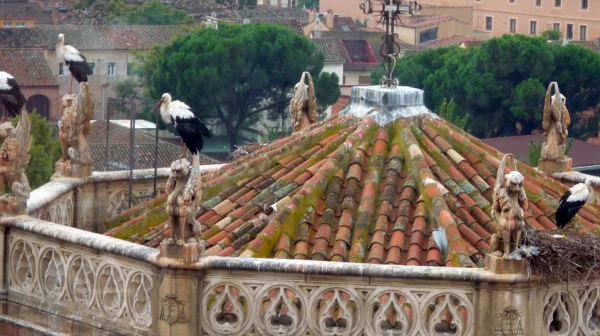 Imagen del artículo La Comunidad de Madrid aprueba 2 millones de euros para la conservación y restauración del patrimonio histórico