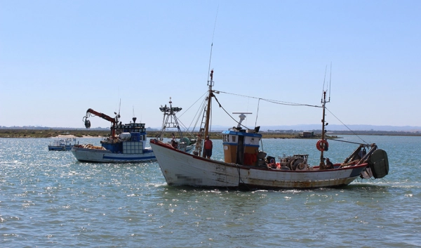 Imagen del artículo El valor de las ventas de productos pesqueros y marisqueros aumenta un 10,6% entre enero y abril