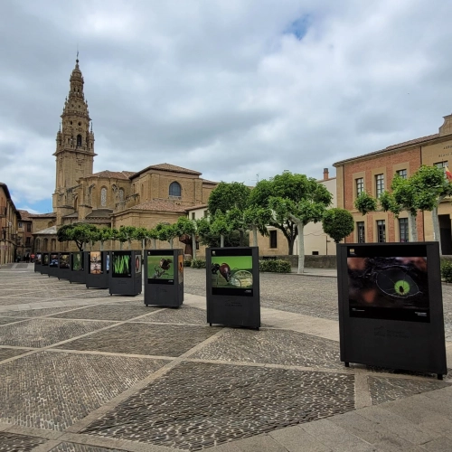 Imagen del artículo Santo Domingo de la Calzada acoge la exposición itinerante del XVII concurso de fotografía Naturaleza de La Rioja, que incluye visitas guiadas a la muestra