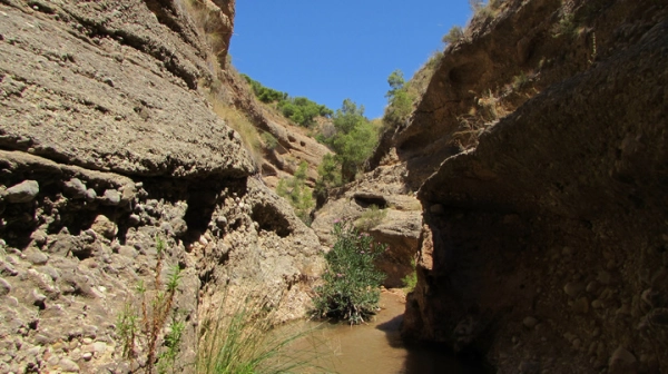 Imagen del artículo La Comunidad pone bajo la lupa la Zona Especial de Conservación del río Chícamo para detectar amenazas y mejorar su gestión