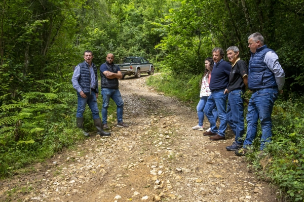 Imagen del artículo Desarrollo Rural reparará de forma inminente la pista forestal de Arria que da servicio a Lamasón y Herrerías