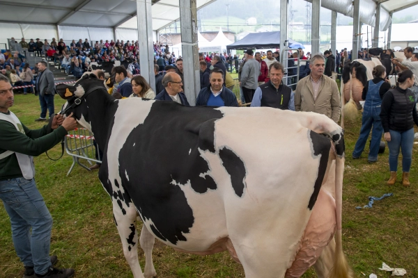 Imagen del artículo Pablo Palencia asiste a la 147 edición del concurso exposición de ganado vacuno frisón de 'San Antonio'