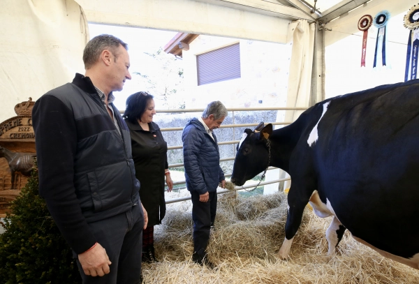 Imagen del artículo Revilla pone en valor la leche de Cantabria y el trabajo de los productores en su visita a la VI Feria de la Leche de Ruiloba