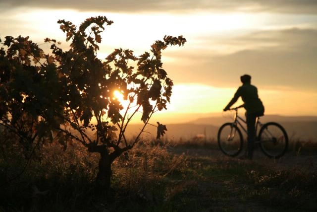 Imagen del artículo Trámite de audiencia. Modificación de la Orden STE/52/2022, de 10 de Agosto, por la que se aprueban las bases reguladoras de la concesión de ayudas para la realización de actividades de promoción del uso de la bicicleta como medio de transporte en La Rioja