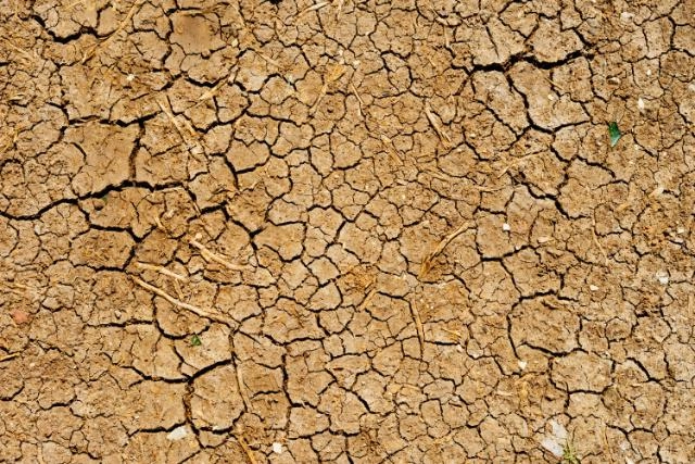 Imagen del artículo Información pública: ayudas a la financiación en préstamos avalados por la SAECA a titulares de explotaciones agrarias afectadas por la sequía