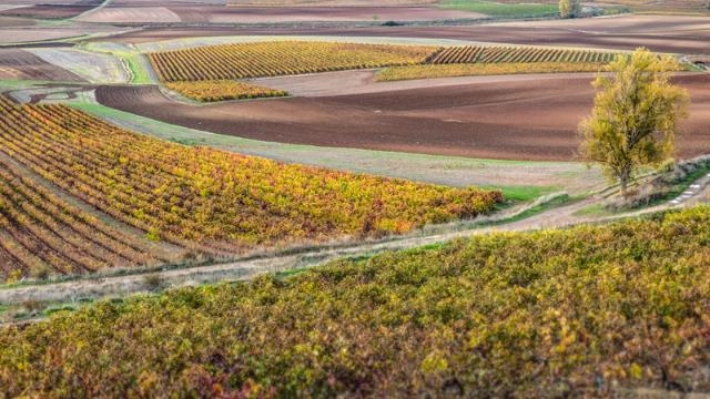 Imagen del artículo Consulta previa:  Decreto por el que se regula el Registro de Explotaciones Agrarias de la Comunidad Autónoma de La Rioja