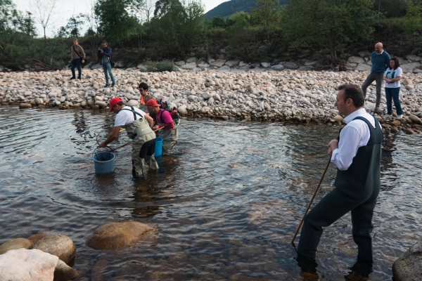 Imagen del artículo Blanco asiste al rescate y traslado de peces del Río Pas que se adelanta con motivo del descenso del caudal por la sequía