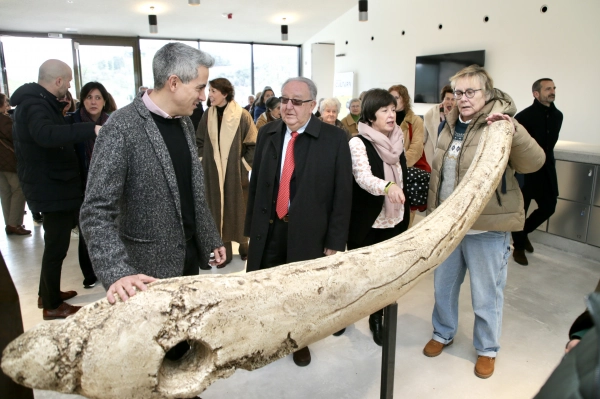 Imagen del artículo Zuloaga anuncia la apertura del Centro de Arte Rupestre de Cantabria el 3 de marzo