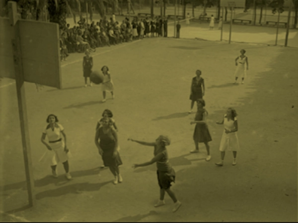 Imagen del artículo 1923-2023. Cent anys de la Federació Catalana de Basquetbol