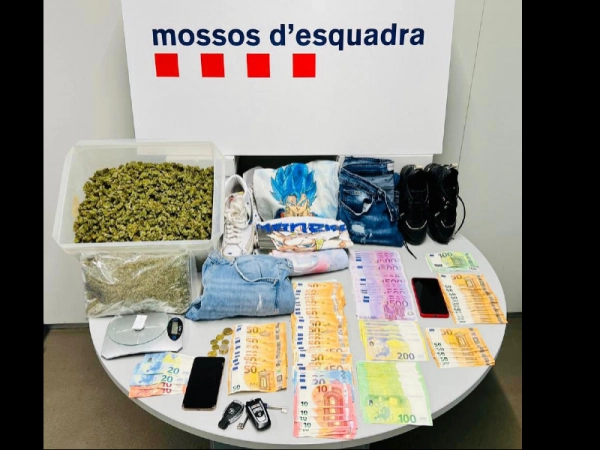 Imagen del artículo Detinguts quatre persones per assaltar un taxista a la Ronda Litoral de Barcelona i desmantellada una plantació de marihuana a Gavà