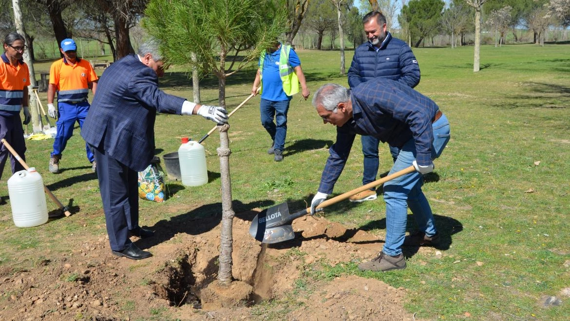 Imagen del artículo La Comunidad de Madrid comienza la plantación de más de 6.000 nuevos árboles en 13 municipios