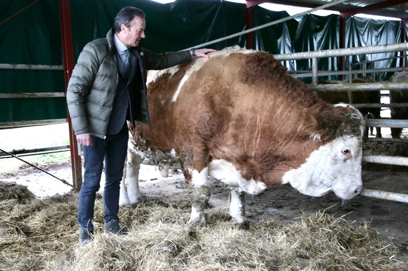 Imagen del artículo Blanco destaca los excelentes resultados de las campañas de saneamiento y la baja prevalencia de la tuberculosis bovina en Cantabria