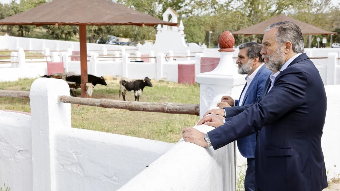 Imagen del artículo La Comunidad de Madrid estrena en la Venta del Batán la I Feria de Ganaderías de reses bravas con múltiples actividades culturales