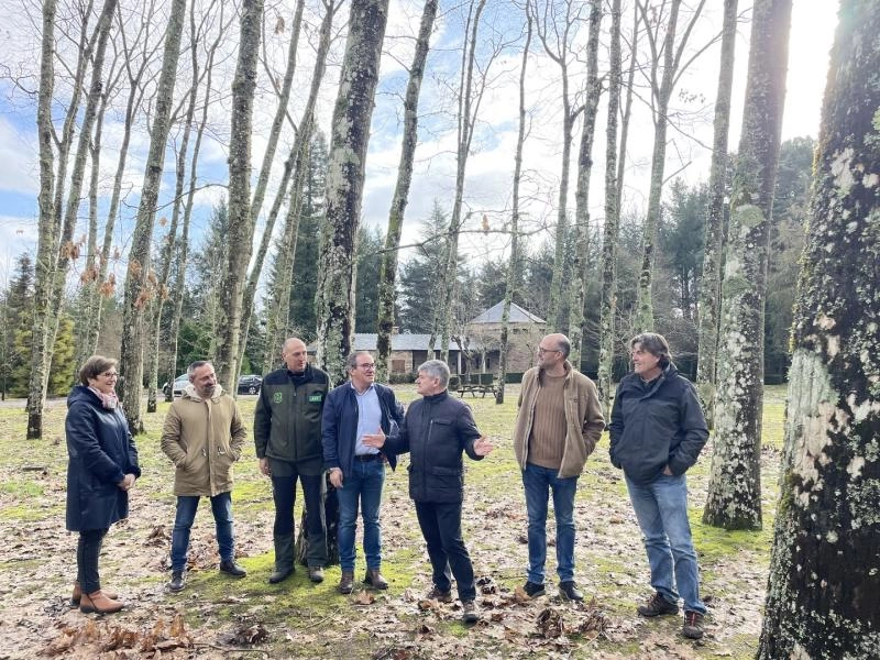 Imagen del artículo A Xunta avanza na mellora do viveiro forestal dos Trollos para convertelo en referente de xestión de frondosas