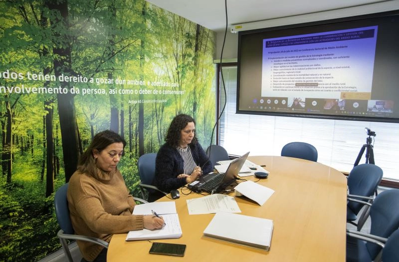 Imagen del artículo A Xunta solicita que o Goberno central rectifique a decisión de excluír a Galicia do reparto de fondos para o lobo