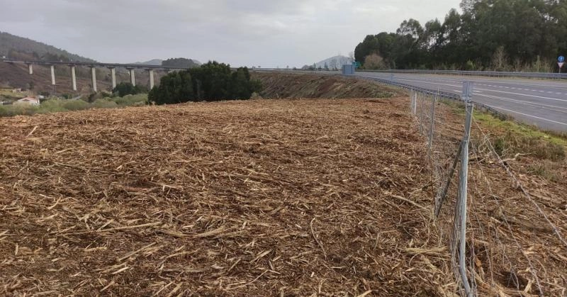 Imagen del artículo La Xunta inicia esta semana trabajos de desbroce y limpieza en los márgenes de la carretera OU-533 en A Gudiña