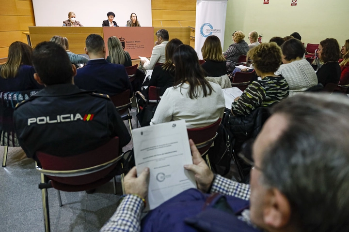 Imagen del artículo El Observatorio de Igualdad crea una nueva comisión de 'Mujeres con discapacidad o diversidad funcional'