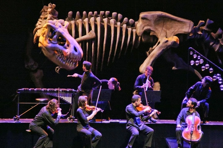 Imagen del artículo La Orquesta Sinfónica de la Región interpreta el domingo 'Soñando el carnaval de los animales' con la compañía Títeres Etcétera