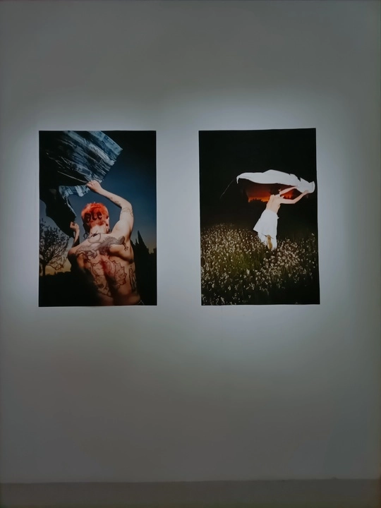 Imagen del artículo La artista Laura Turpín muestra su exposición 'Un poder cegador' en el Centro Párraga