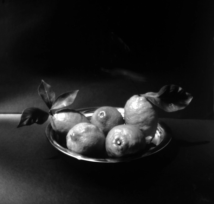 Imagen del artículo La Logia del Museo de Bellas Artes muestra la fotografía estenopeica de Damián Lajara
