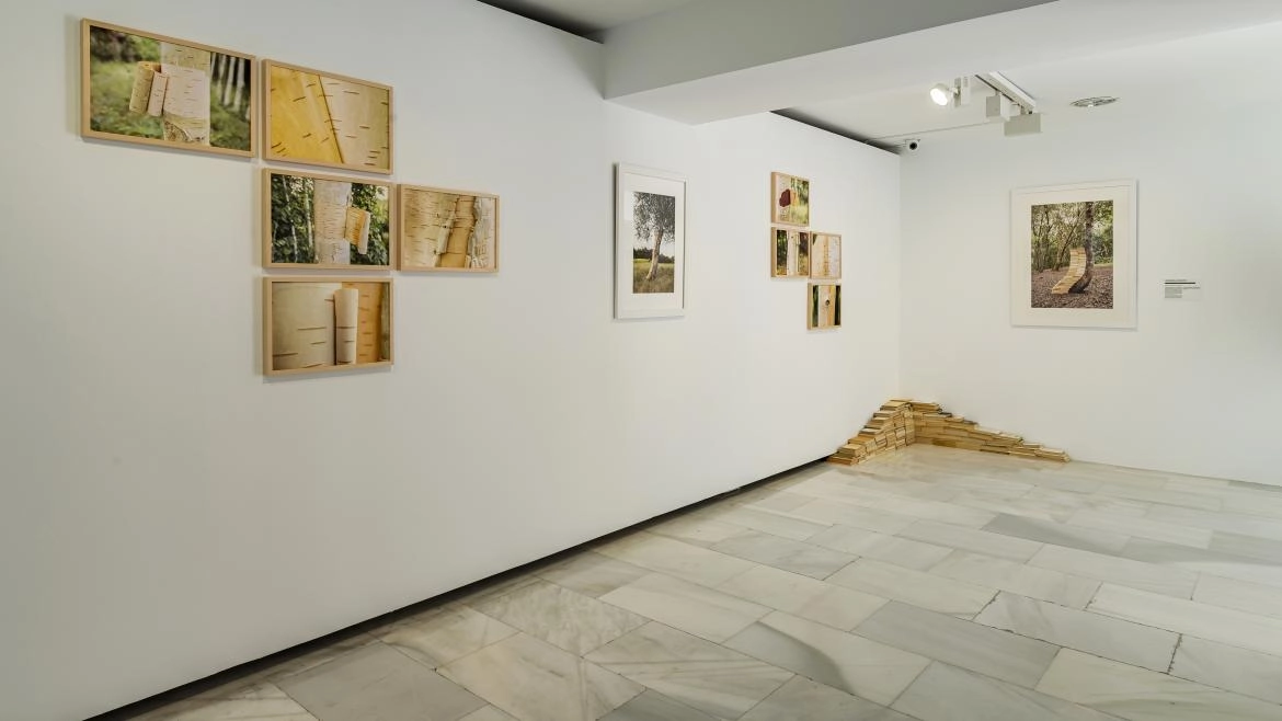 Imagen del artículo La Comunidad de Madrid apoya el arte emergente con la exposición La casa como reflejo en un espejo