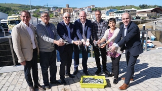 Imagen del artículo Cerca de 6 millones de kilos de anchoa y 11,6 millones de verdel descargados en los puertos de Euskadi