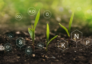 Imagen del artículo Inteligencia artificial para conocer la salud del suelo de Europa