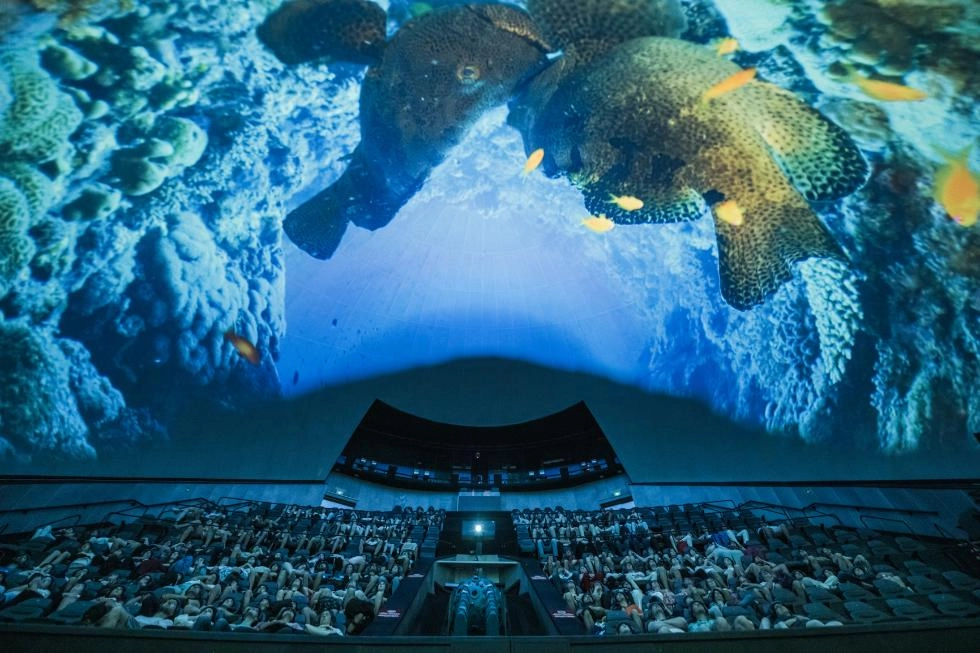 Imagen del artículo La proyección Oceans lidera el ranking de las películas más vistas del Hemisfèric en 2023