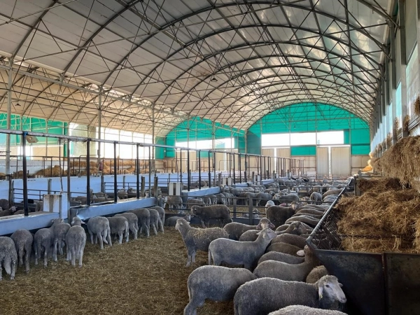 Imagen del artículo La Junta ha concedido 699.000 euros a la Cooperativa Sierra de San Pedro para la comercialización de ganado y estudia nuevo expediente para otra ampliación