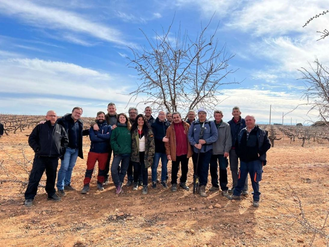 Imagen del artículo El Gobierno de Castilla-La Mancha resalta la importancia del cultivo del almendro en la provincia de Albacete con un 50 por ciento de la superficie regional