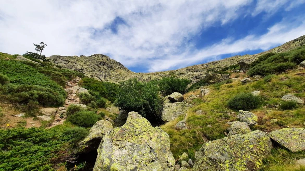 Imagen del artículo La Comunidad de Madrid publica la tercera edición del libro que recopila las mejores rutas de naturaleza en Guadarrama y Somosierra
